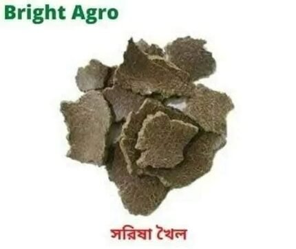 সরিষা খৈল